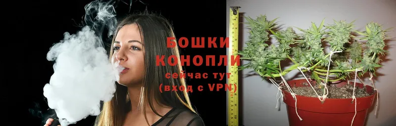 блэк спрут ссылки  купить наркотики сайты  Амурск  МАРИХУАНА SATIVA & INDICA 